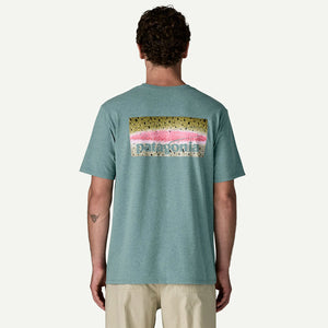 Patagonia Mens Short-Sleeved Take a Stand Responsibili-Tee Rainbow Run: Blue Sage
