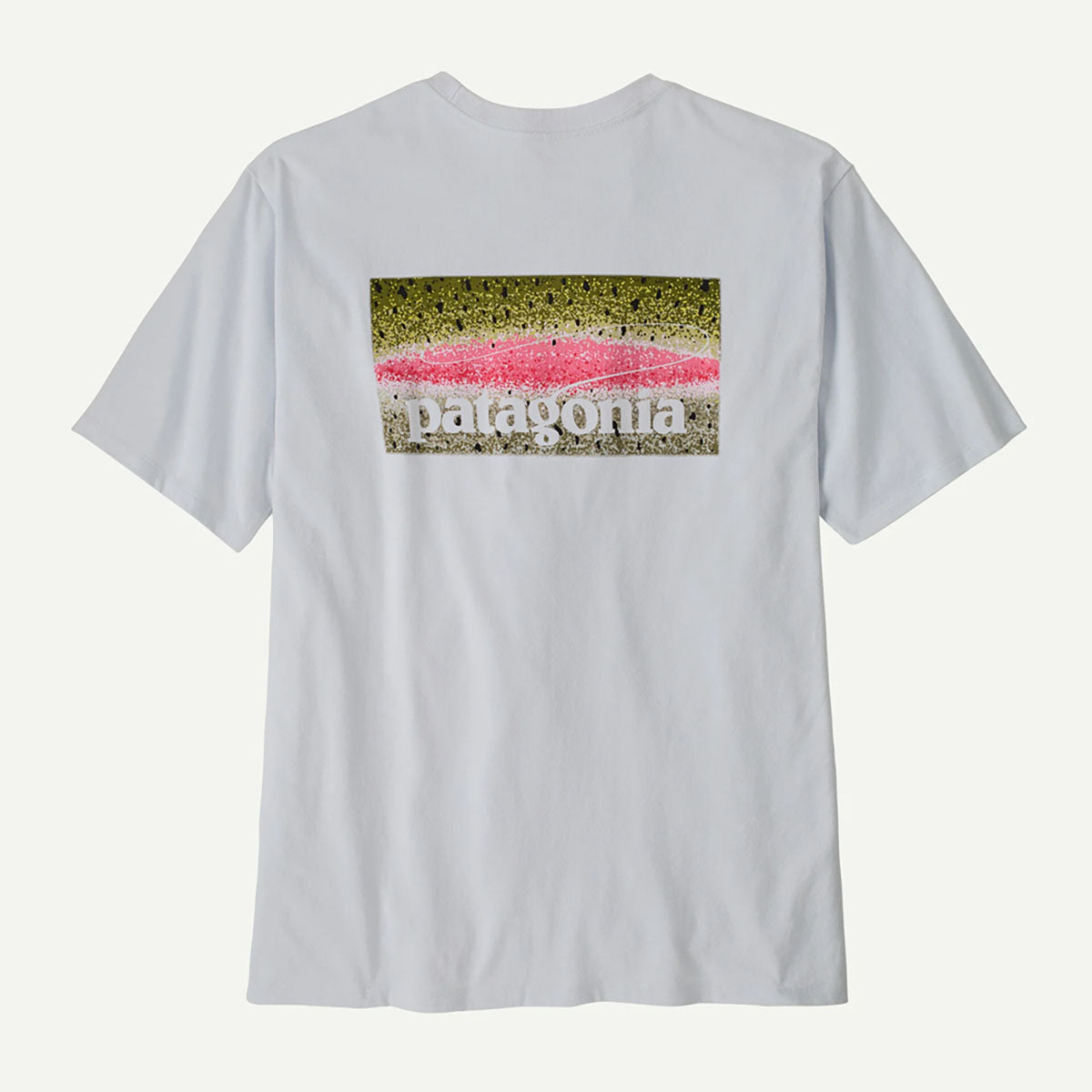 Patagonia Mens Short-Sleeved Take a Stand Responsibili-Tee Rainbow Run: White