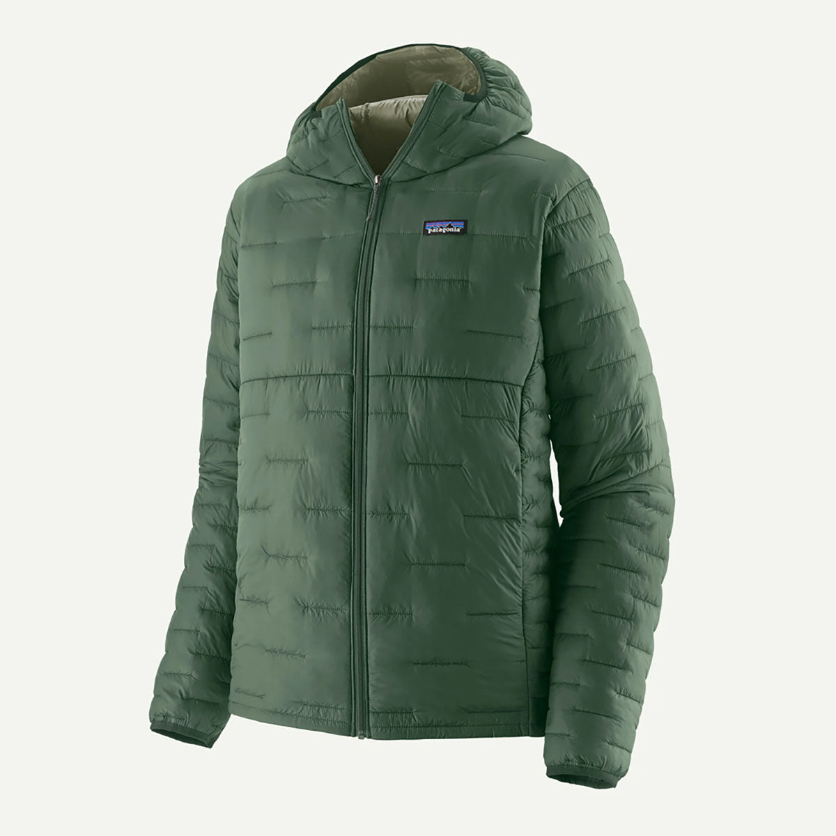 Patagonia Mens Micro Puff Hoody Canopy Green
