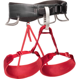 Black Diamond Women's Momentum Harness Wild Rose