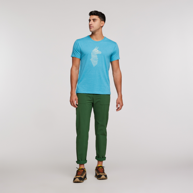 Cotopaxi Men&#39;s Topo Llama T-Shirt Poolside