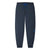 Stio Men's Fernos Insulated Pant - Regular Mountain Shadow