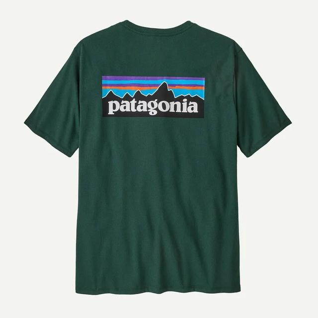 Patagonia Mens P-6 Logo Responsibili-Tee CASG Cascade Green