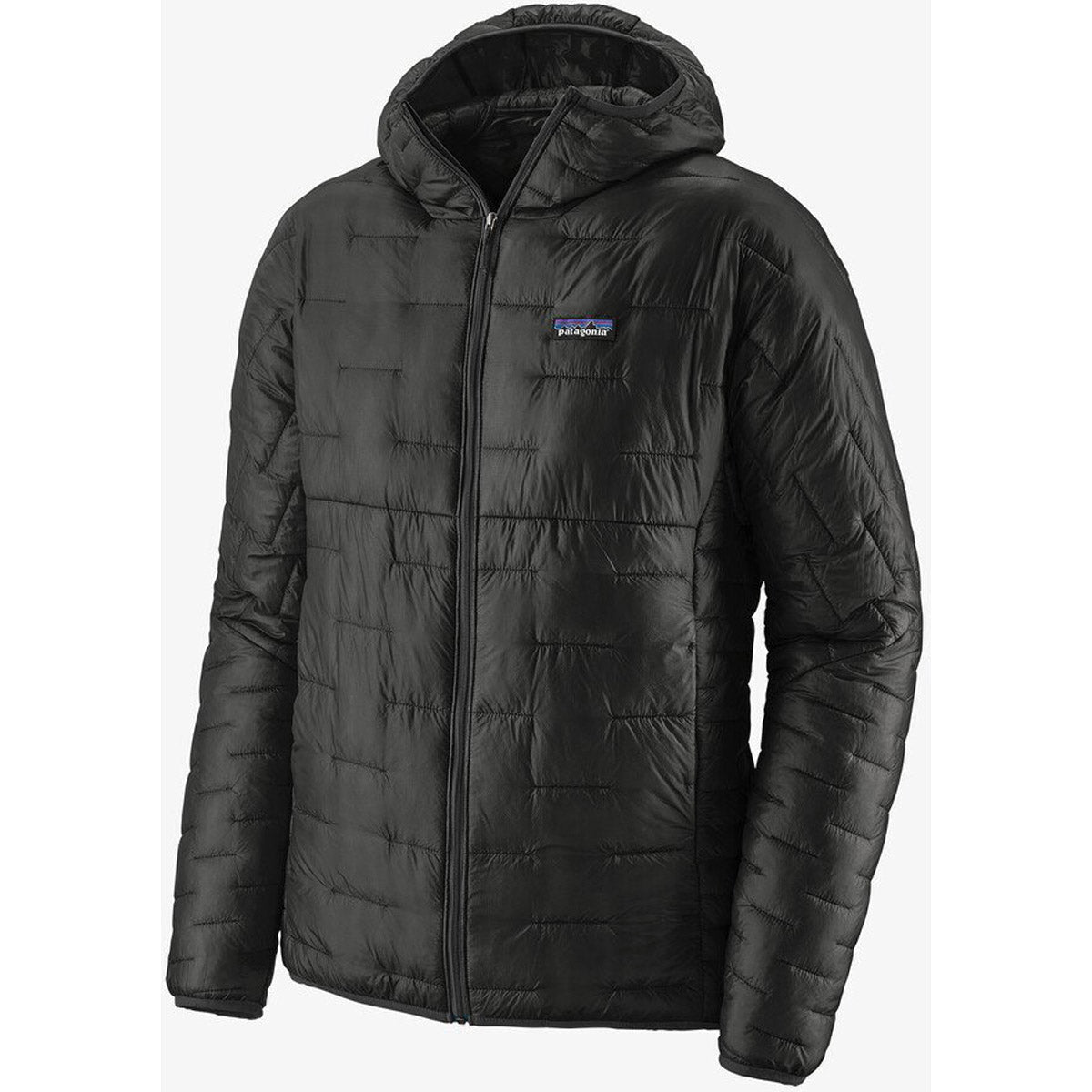 Patagonia Men&#39;s Micro Puff Hoody Black