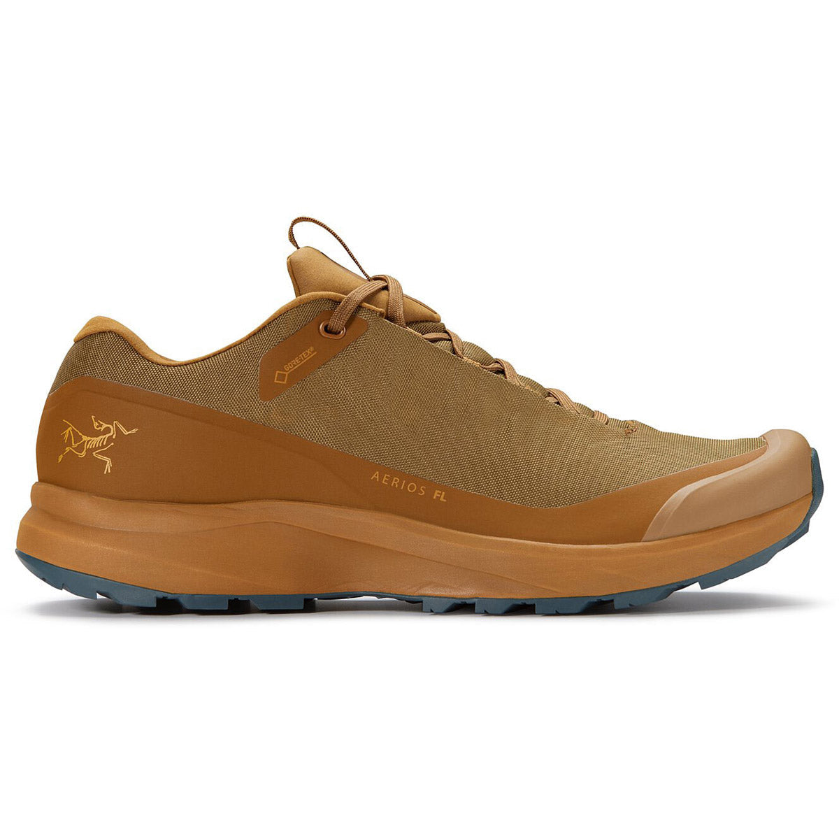 Arcteryx Men's Aerios FL GTX Shoe Relic/Neptune