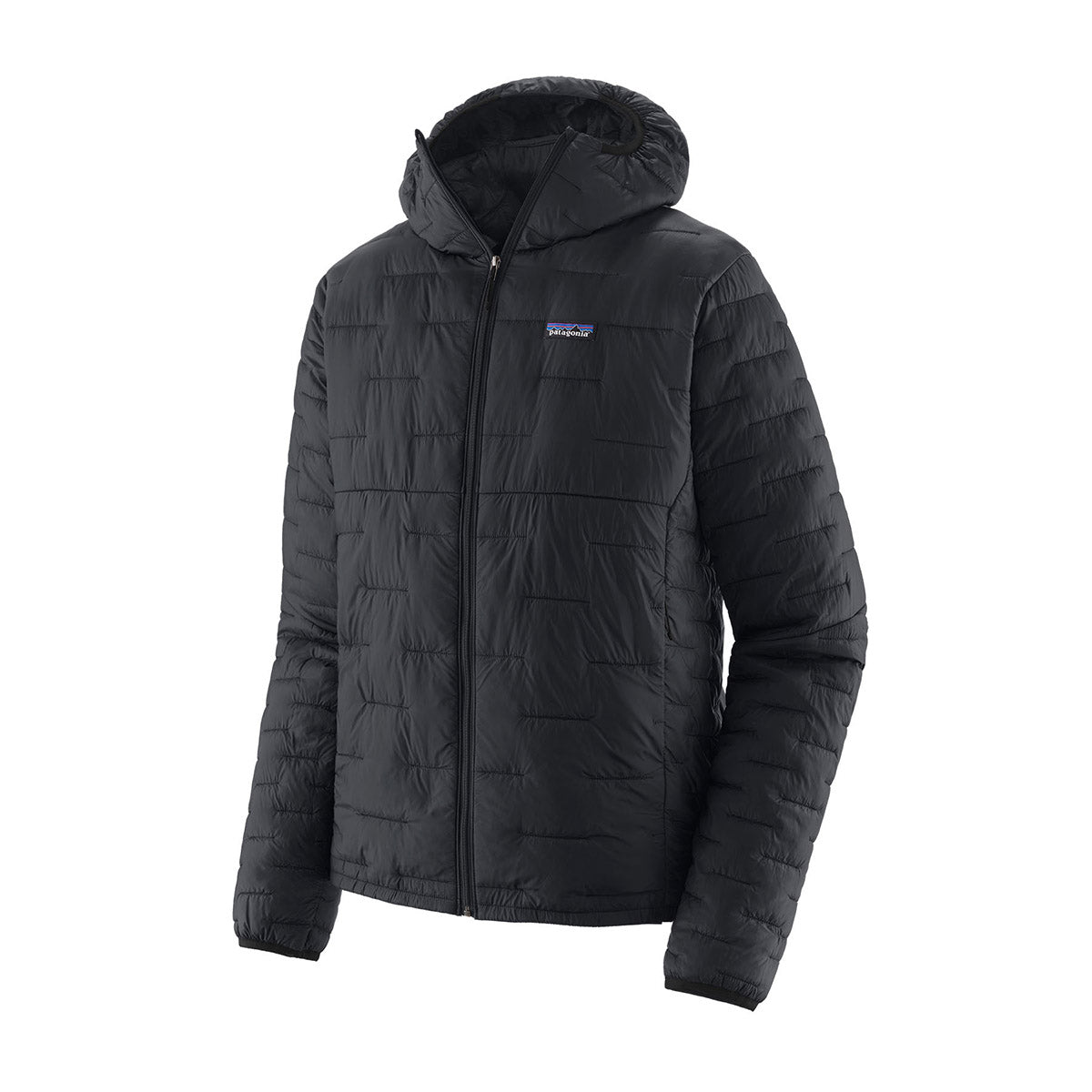 Patagonia Men&#39;s Micro Puff Hoody Black